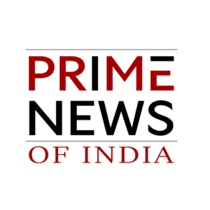 Media 8